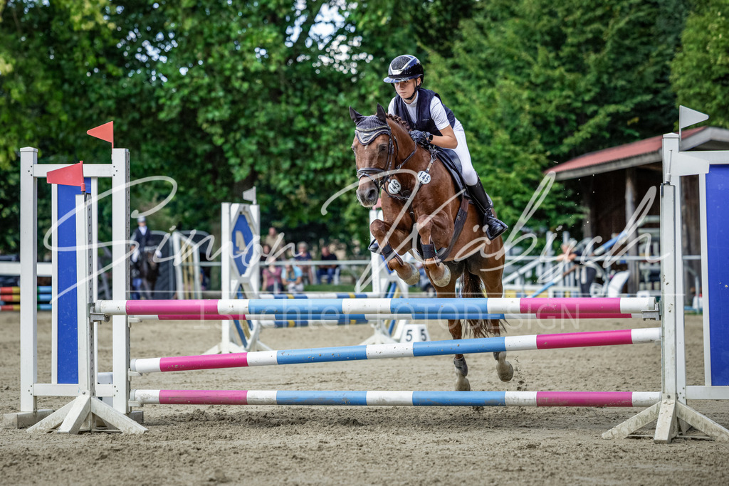 20250906-_3LI6333 | Tierfotografie Pferde, Hunde, Katzen, Haustiere.
Turnierfotografie Reitturniere, Reiten, Springreiten, Dressur in Hanau, dem Main-Kinzig-Kreis und dem Rhein-Main- Gebiet um Frankfurt