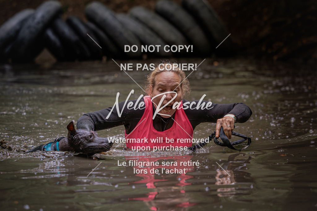 nelerasche_SaWingst1400-1500_151 | nelerasche