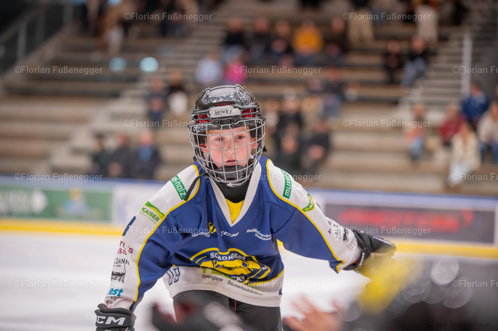 DSC_1660 | "Fussifoto.com – Ihr Ansprechpartner für hochwertige Fotografie! Entdecken Sie kreative Bilder und professionelle Dienstleistungen. Kontaktieren Sie uns für Ihre Projekte!"