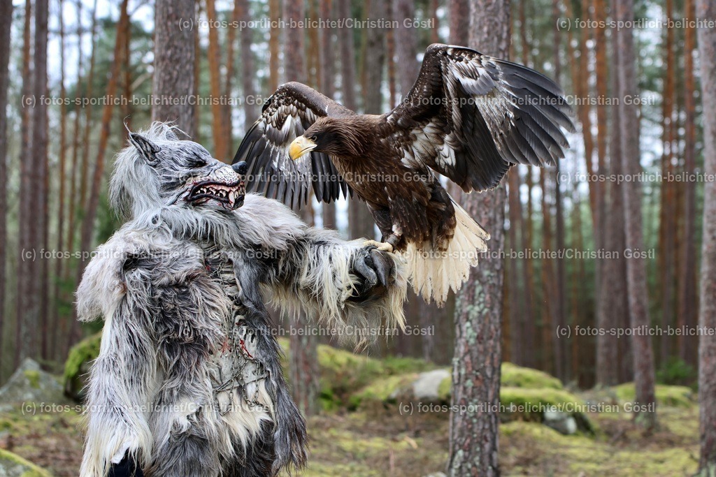 2X5A4276 | fotos-sportlich-belichtet - Realisiert mit Pictrs.com