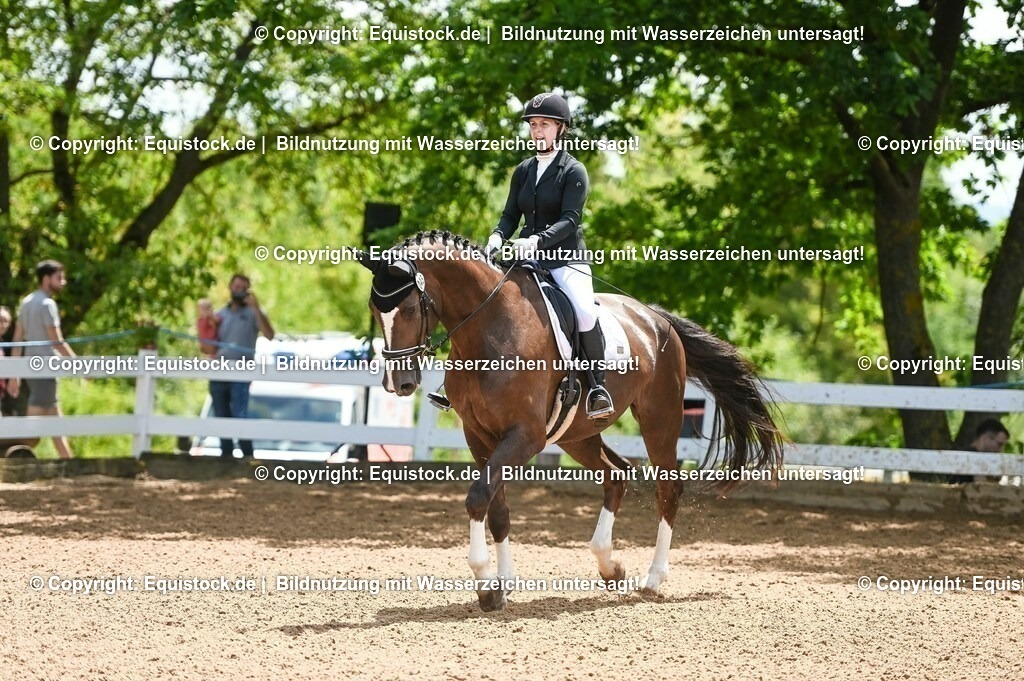 20230716_03_Dressurprfg. Kl.L - Tr._0162 | equistock