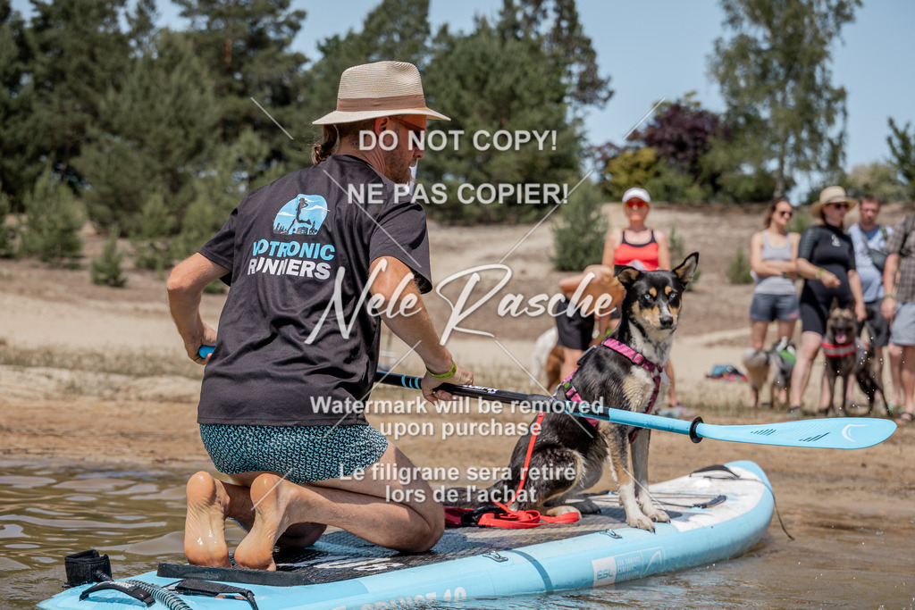 nelerasche_saSUP1_174 | nelerasche