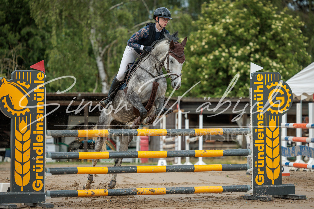 20260530-_3LI2301 | Tierfotografie Pferde, Hunde, Katzen, Haustiere.
Turnierfotografie Reitturniere, Reiten, Springreiten, Dressur in Hanau, dem Main-Kinzig-Kreis und dem Rhein-Main- Gebiet um Frankfurt