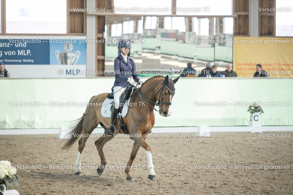 _D5A2643 | Emotionale Pferde- & People-Fotografie rund um Heidelberg, Leimen & Umgebung. Natürliche Fotos von Pferd, Mensch & Familie. Jetzt Termin sichern!