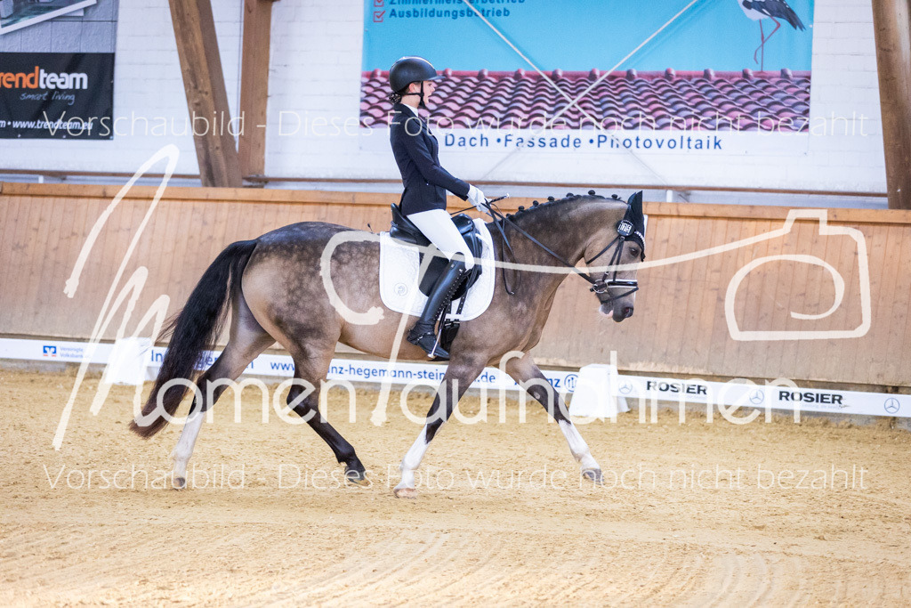 Sth-A-Dre-1St-056 | MomenTaufnahmen Pferdesportfotos