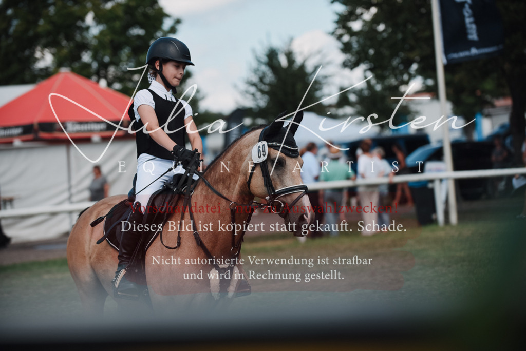 DSC_5839 | Pferde- und Turnierfotografie in Westsachsen. Pferdeportraits, Auftragszeichnungen und intuitive Kunst.