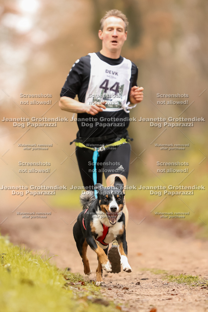 Dog Paparazzi - Speedhunter Mannheim  2025-115 | Dog Paparazzi Jeanette Grottendiek Fotografie & Videografie