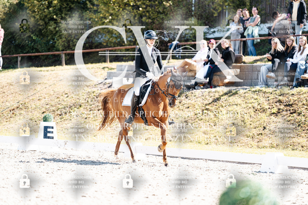 CK903611 | Turnierfotografie Pferdefotografie Trier Rheinland-Pfalz Pferdesport Reitsport Tierfotografie Sportfotografie Pferdevideo Pferdevideografie Equestrianvideography equestrianphotography  - Realisiert mit Pictrs.com