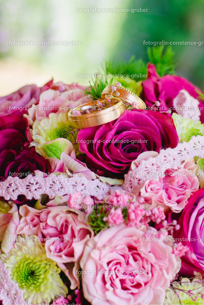 1013 | Fotografie Constance Gruber - Realisiert mit Pictrs.com