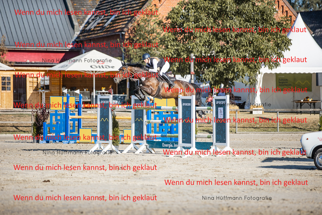 BK1A8683 | Turnierbilder Turnierfotos Nina Hüffmann Turnierfotografie Pferdefotografie Tierzeichnung Haustierzeichnung Pferdezeichnung Hundezeichnung Videograf  - Realisiert mit Pictrs.com