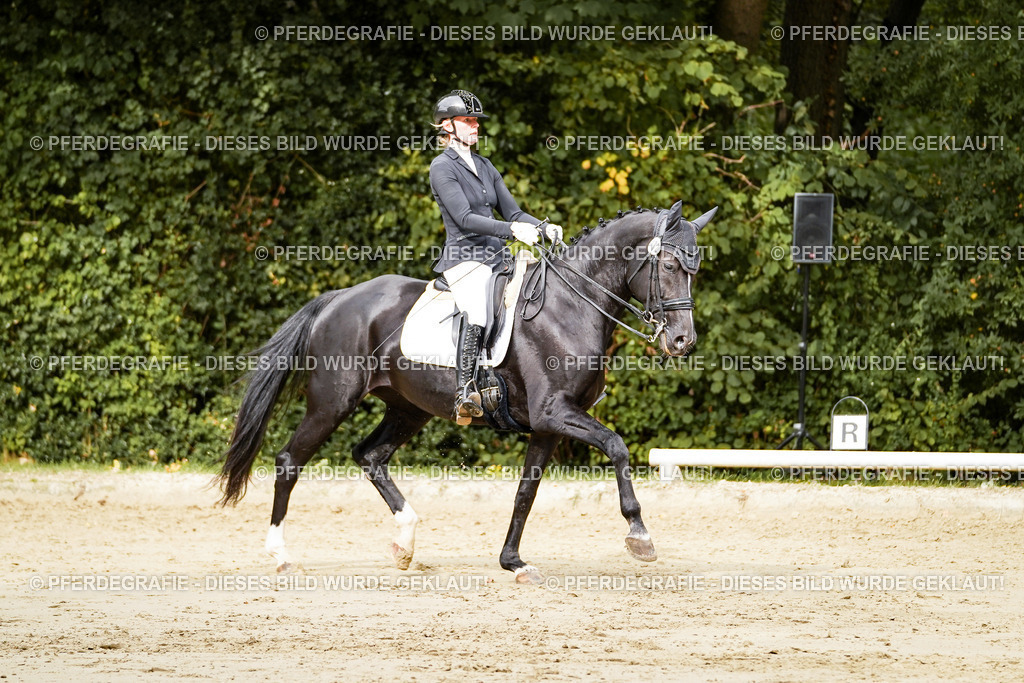 DSC03436 | Pferdegrafie