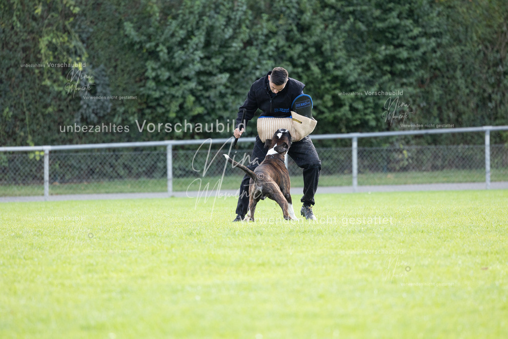 _16A6520 | Einzigartige Fotos von Hunden & Menschen –Actionfotos, Portraits, Vereinsaufnahmen & Paarshootings – authentisch, lebendig & mit Herz.