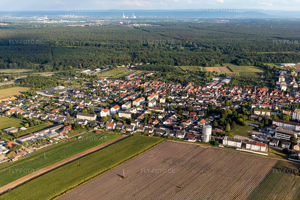 Luftbild: wrapped Water-Tower in Kandel im Bundesland Rheinland-Pfalz in Deutschland. Foto: IMG_122259.jpg vom 15.08.2020 durch Werner Riehm/FLY-FOTO.de