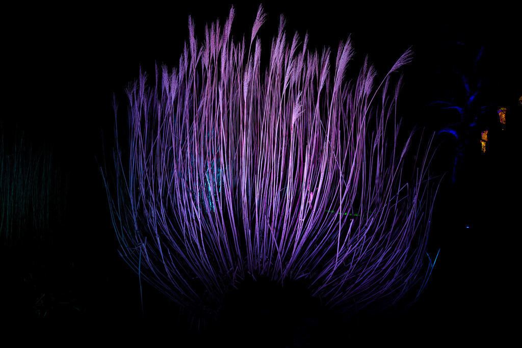 Parkleuchten_GrugaEssen24_40 | Bildergalerie von Sport-Ereignissen aber auch von weiteren spannenden Dingen - nicht nur vom Niederrhein. In Anlehnung an den bekannten Spruch von Hanns Dieter Hüsch heißt das Motto: "Niederrhein ist überall".  - Realisiert mit Pictrs.com