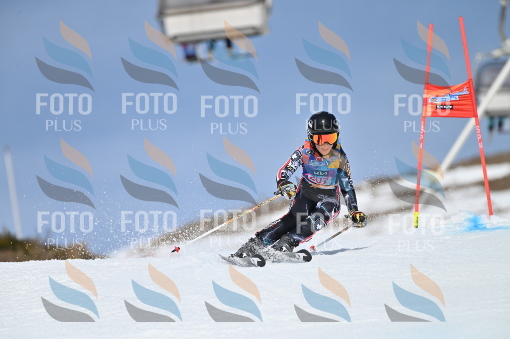 BGV_1086 | holidayphoto