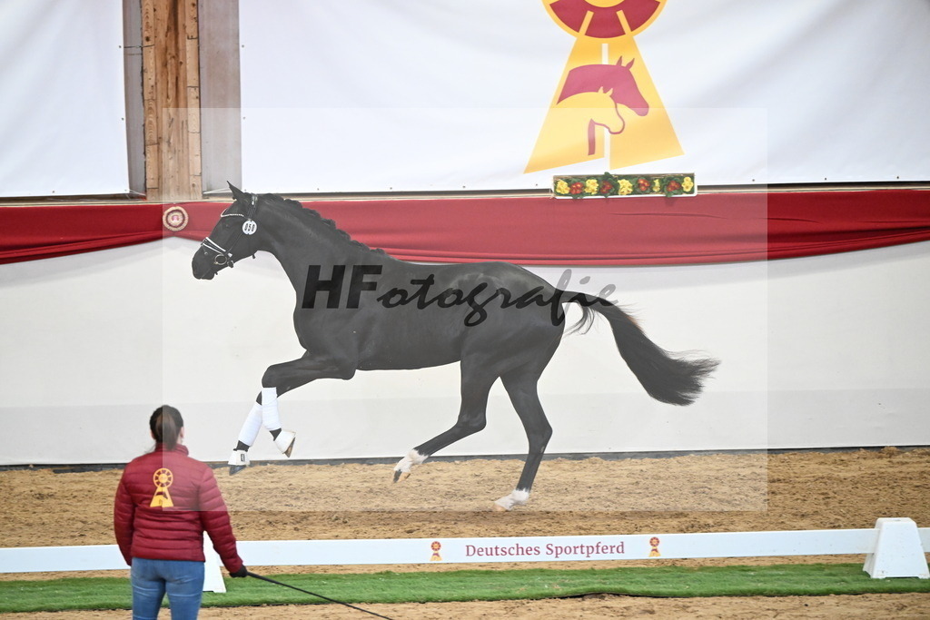 Kat.-Nr. 50 v. Donier_Meyer_2250186 | hf-fotografie - Realisiert mit Pictrs.com