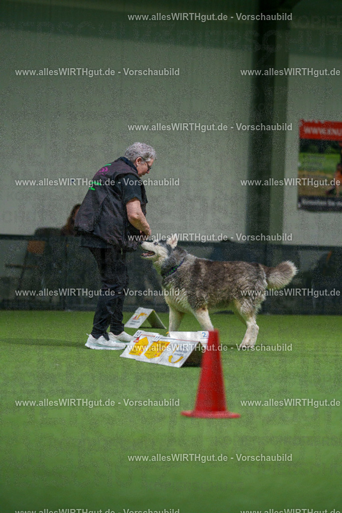 7R504427 | Professionelle Tierfotografie in Mönchengladbach von Daniel Wirth (allesWIRTHgut). Liebevolle & natürliche Bilder von Hunden & Katzen für unvergessliche Erinnerungen.
