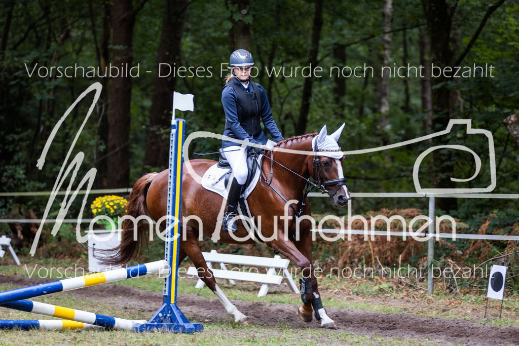 HB-Caprilli-018 | MomenTaufnahmen Pferdesportfotos