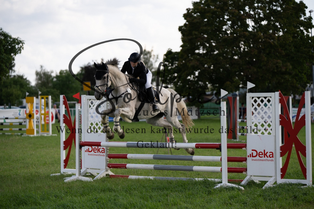 A7V03623 | Pferdefotograf