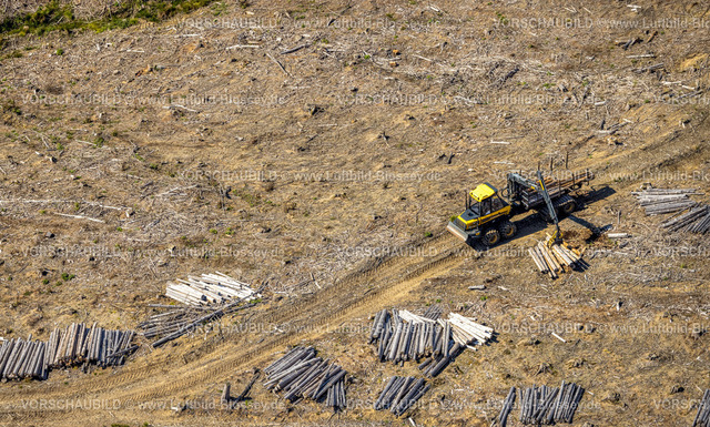 Arnsberg220904133Oeventrop | Luftbild, Waldschäden und Waldsterben, Glösingen, Arnsberg, Sauerland, Nordrhein-Westfalen, Deutschland