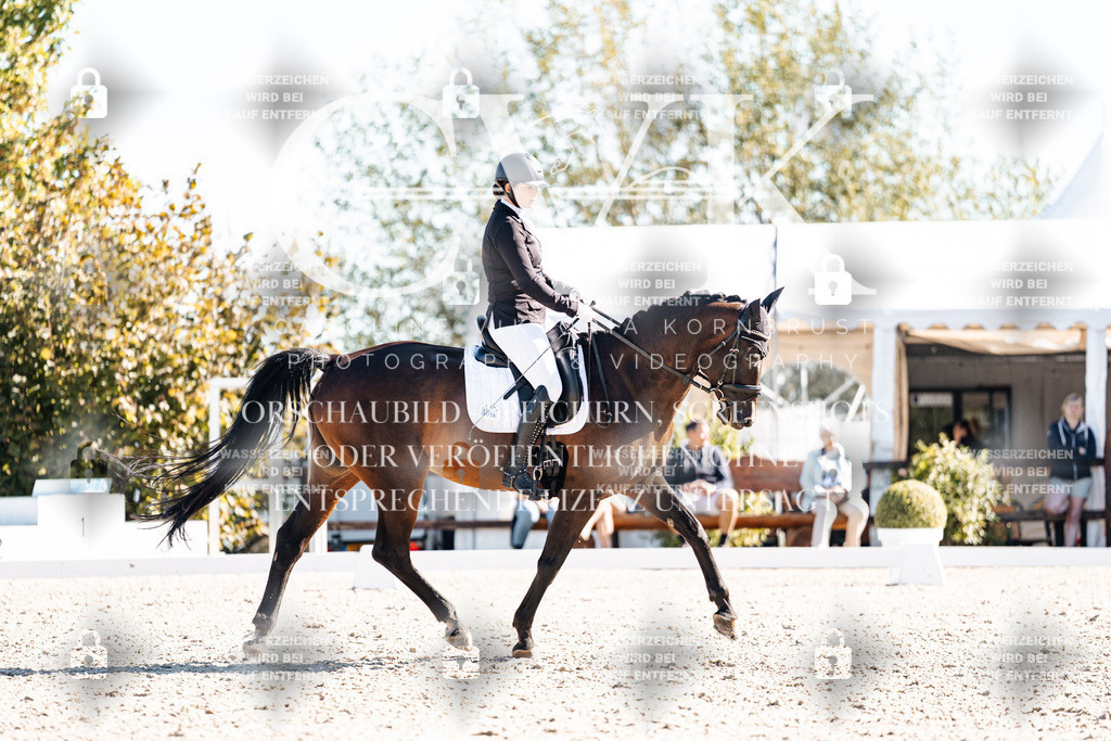 CK908701 | Turnierfotografie Pferdefotografie Trier Rheinland-Pfalz Pferdesport Reitsport Tierfotografie Sportfotografie Pferdevideo Pferdevideografie Equestrianvideography equestrianphotography  - Realisiert mit Pictrs.com