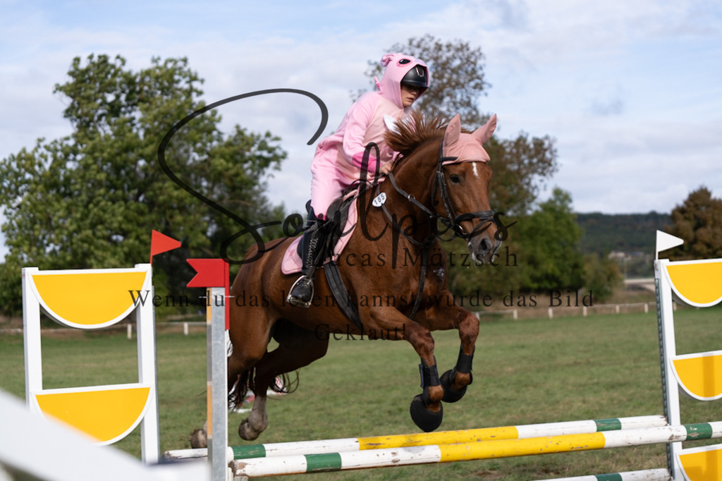 A7V06510 | Pferdefotograf