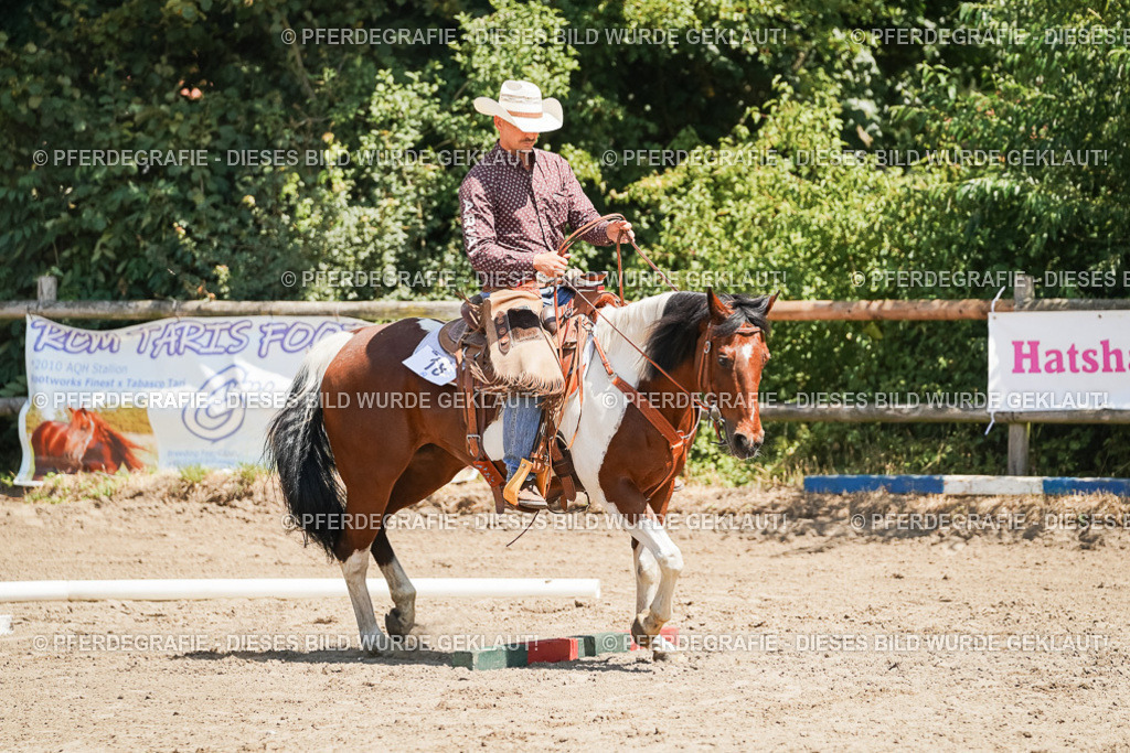 DSC07414 | Pferdegrafie