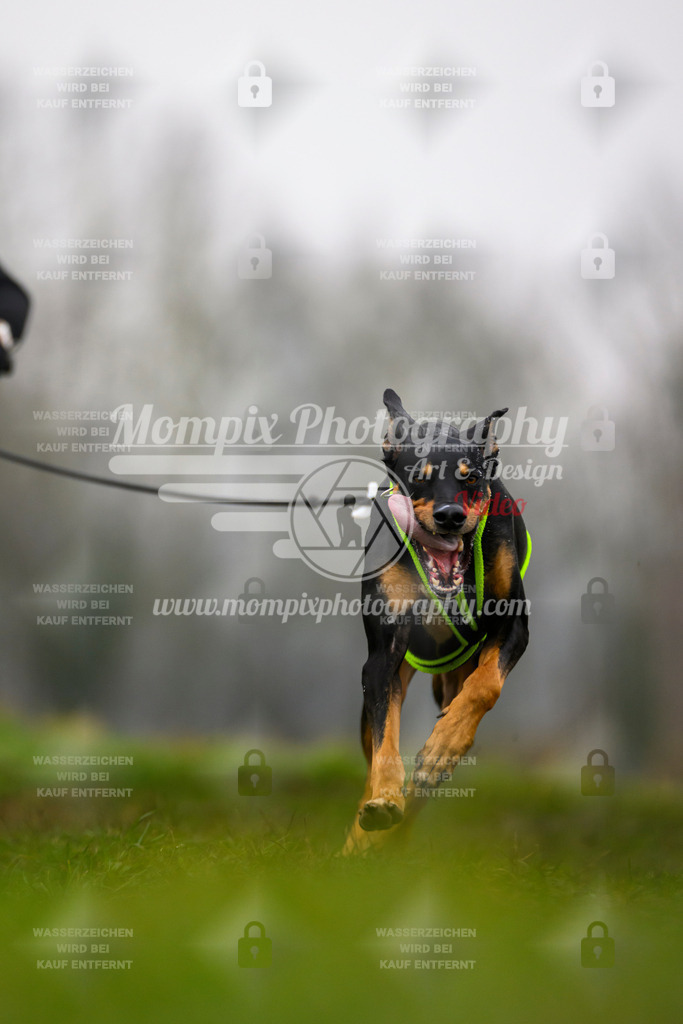 MompixPhotography_CDF2023_FFST_Di_Bike1-119 | PayLife