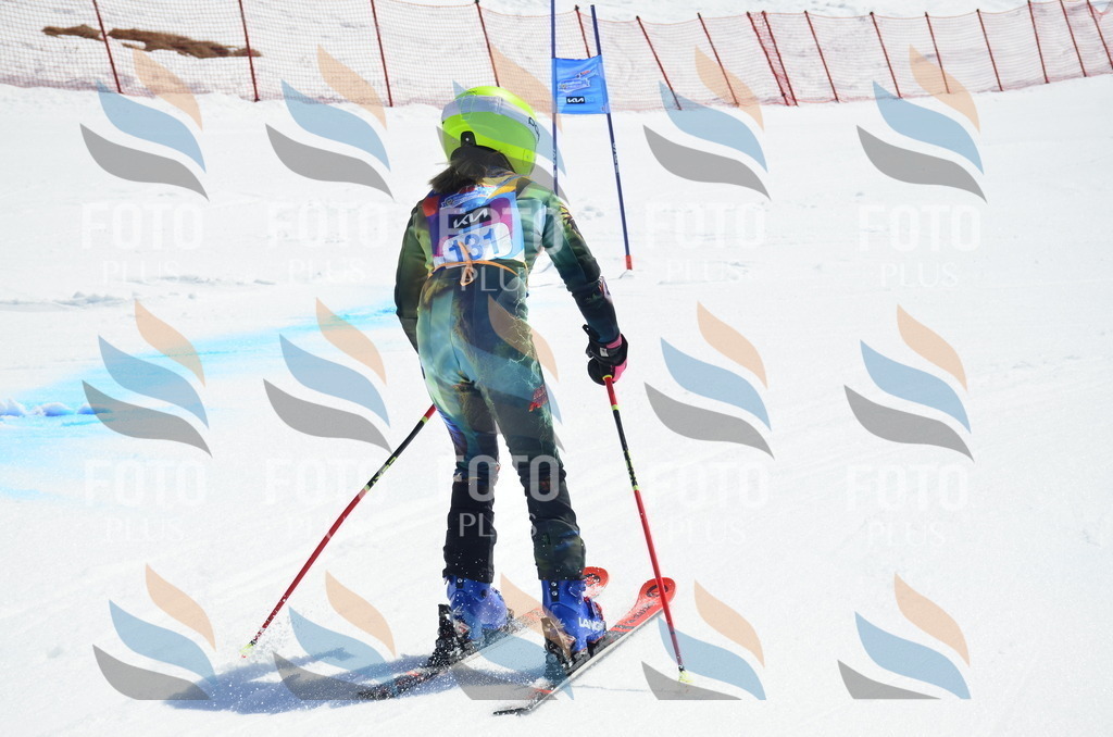 _ELE0834 | holidayphoto