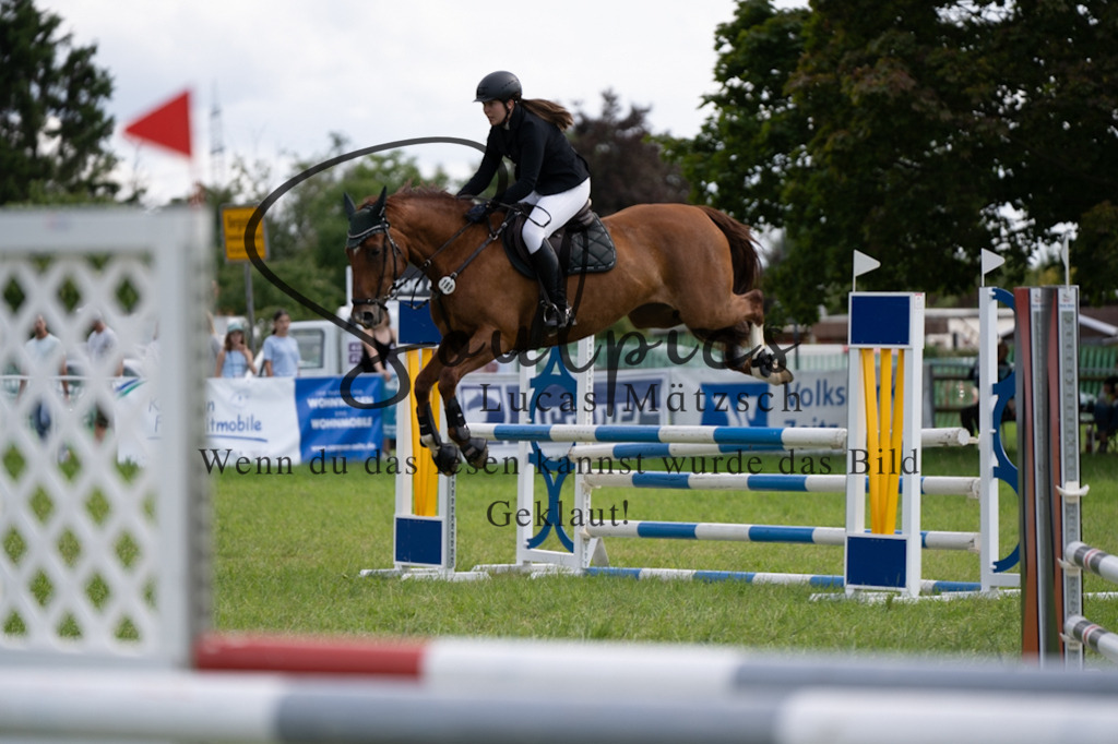 A7V04836 | Pferdefotograf