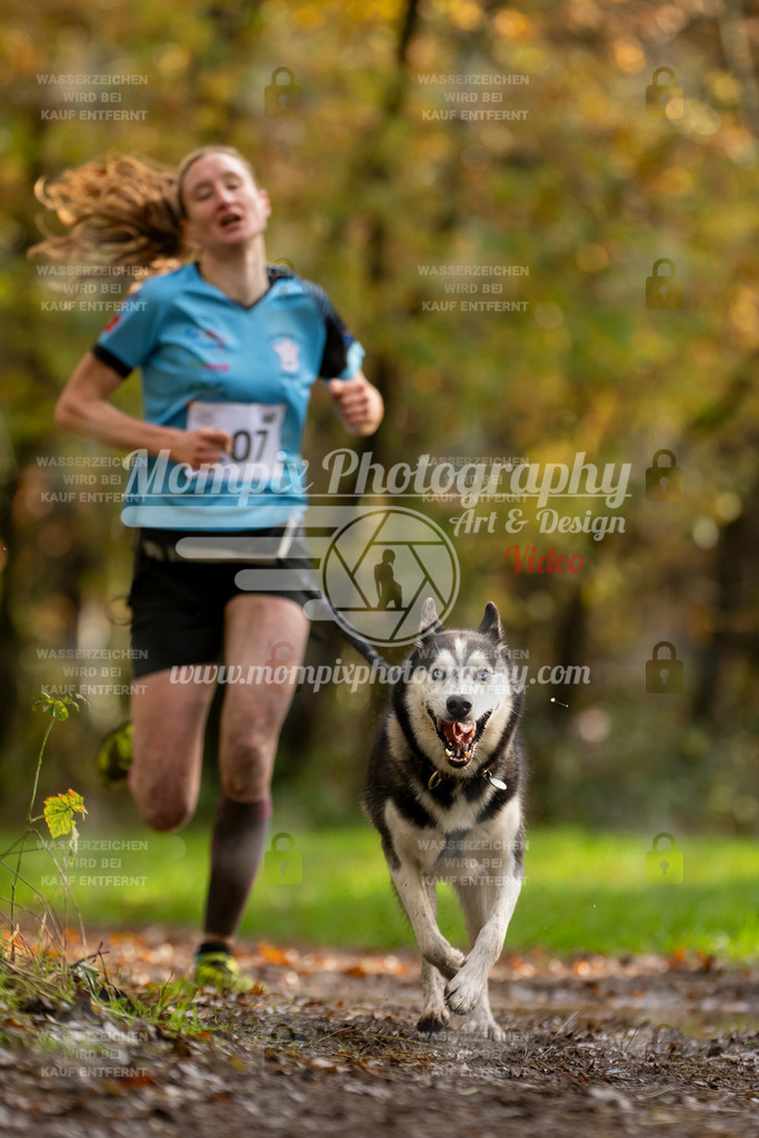 MompixPhotography_Bischwiller23_Canicross-62 | PayLife