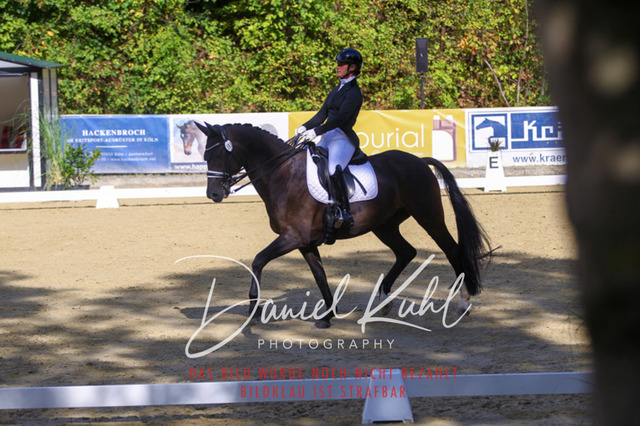 DKP40813 | Turniersportfotografie; Pferdefotografie; Dressurfotografie