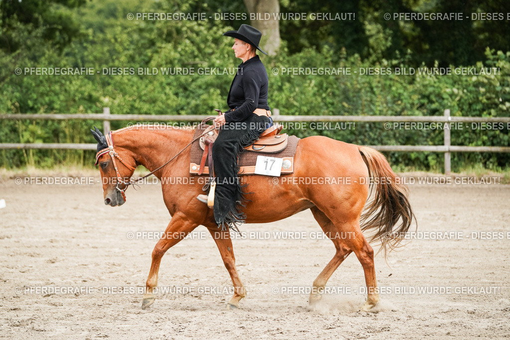 DSC08078 | Pferdegrafie