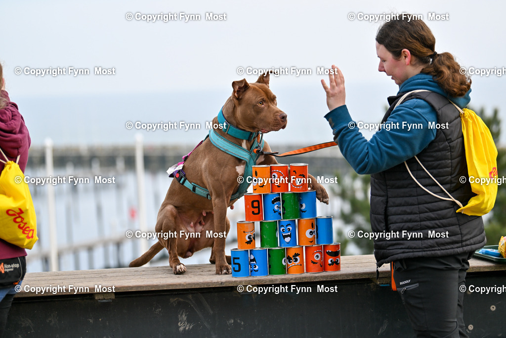 DSC_5575 | Hallo und herzlich Willkommen auf meiner Shop-Seite Fynn Most.

Ich wünsche Dir viel Spaß beim stöbern durch die Bilder, wenn Du Fragen hast oder Bilder vermisst, kannst du mir gerne eine Nachricht schreiben. - Realisiert mit Pictrs.com