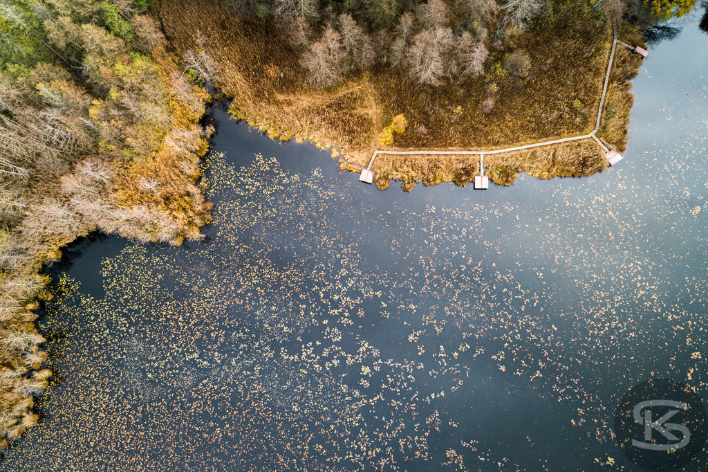 Allgäu-See-Landschaft, Bootssteg aus der Luft mit dichtem Mischwald im Herbst | Atemberaubende Allgäu-See-Landschaft mit Bootssteg aus der Luft und farbenprächtigem Mischwald im Herbst – idyllische Natur, klare Gewässer und leuchtende Herbstfarben, beeindruckende Drohnenaufnahme - Realisiert mit Pictrs.com