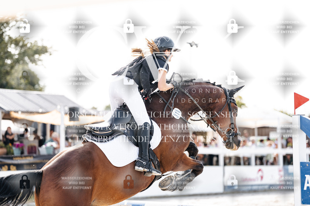 CK905775 | Turnierfotografie Pferdefotografie Trier Rheinland-Pfalz Pferdesport Reitsport Tierfotografie Sportfotografie Pferdevideo Pferdevideografie Equestrianvideography equestrianphotography  - Realisiert mit Pictrs.com