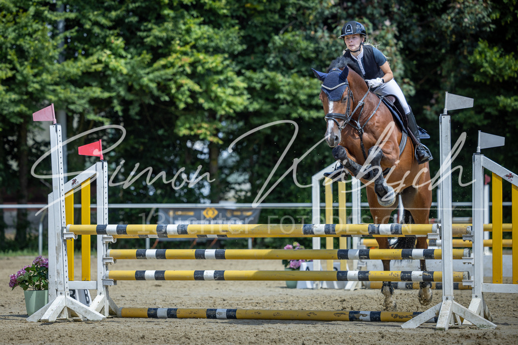 20260704-_3LI0284 | Tierfotografie Pferde, Hunde, Katzen, Haustiere.
Turnierfotografie Reitturniere, Reiten, Springreiten, Dressur in Hanau, dem Main-Kinzig-Kreis und dem Rhein-Main- Gebiet um Frankfurt