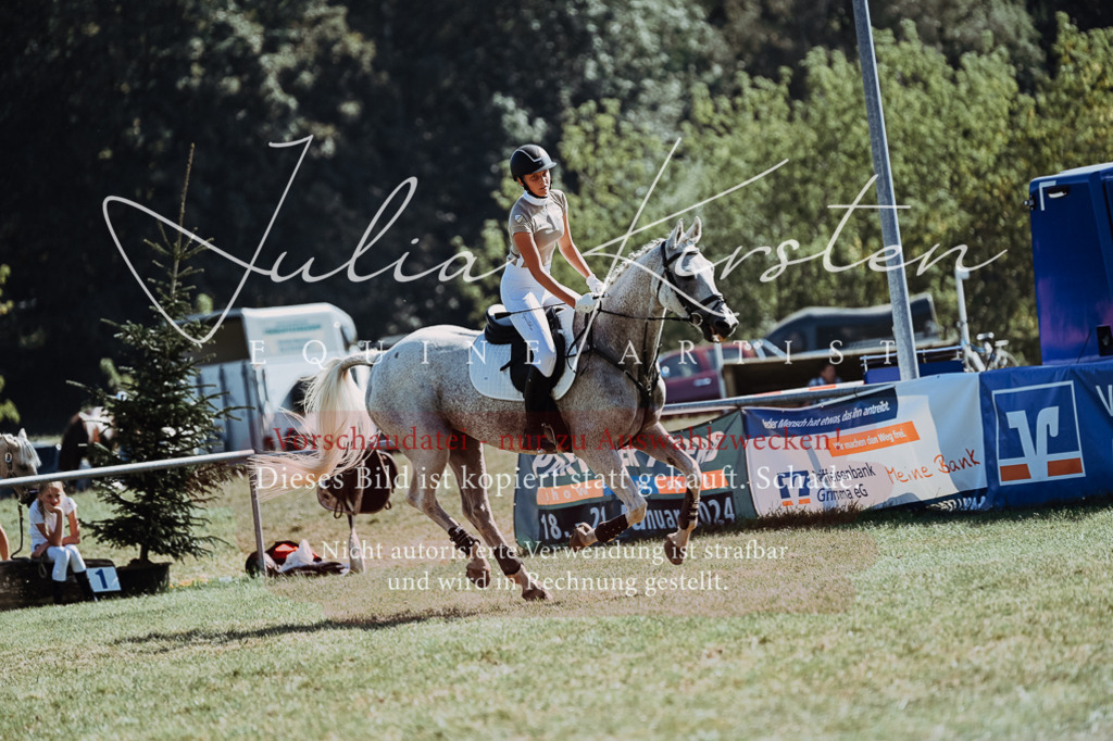 DSC_6874 | Pferde- und Turnierfotografie in Westsachsen. Pferdeportraits, Auftragszeichnungen und intuitive Kunst.