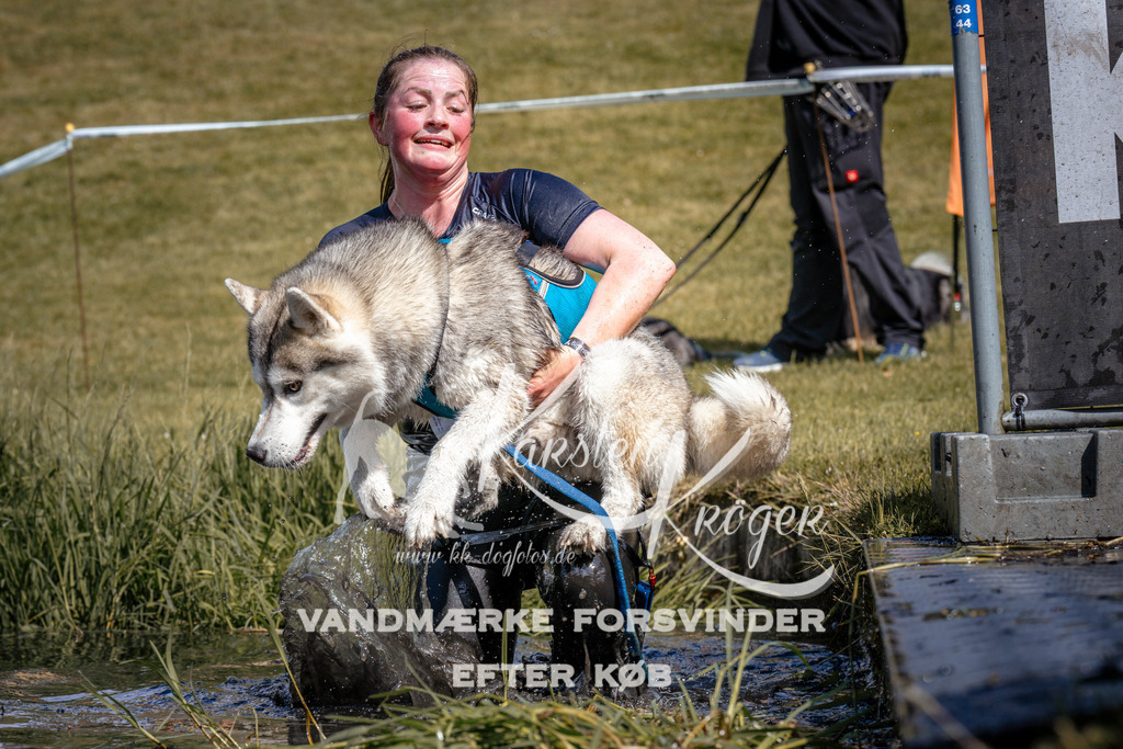 _ZZ933880938 | kk-dogfotos