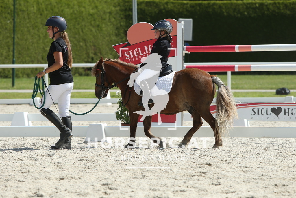 DL2Q0580 | Willkommen bei Brunnmayr - Design & Fotografie – Ihrem Spezialisten für Reitturniere und Pferdeveranstaltungen in Oberösterreich, Salzburg und Bayern! Seit über 17 Jahren sind wir leidenschaftlich dabei.