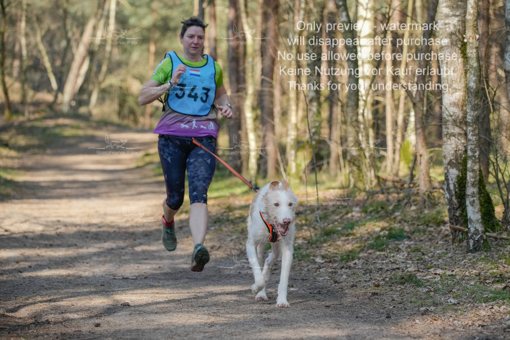 Sa_CC_short-158 | stephaniefillaphotographie - Realisiert mit Pictrs.com