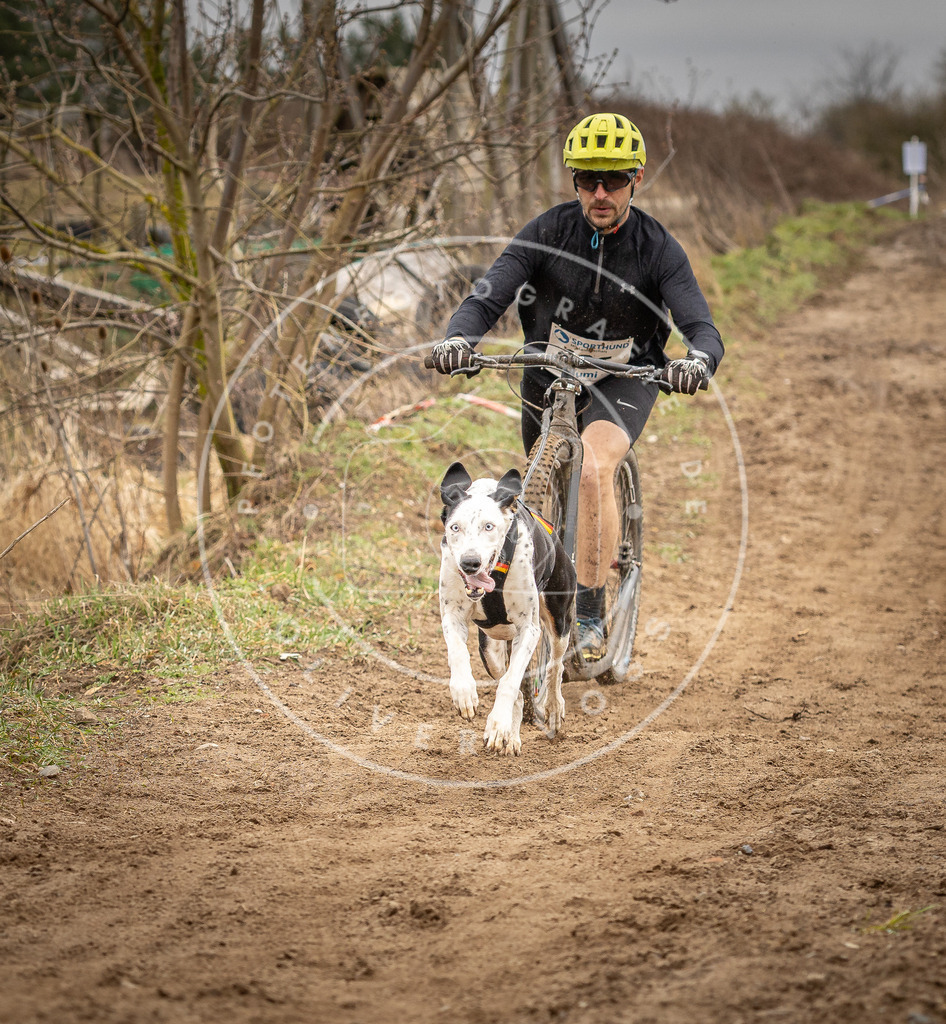 DV3A1327 | Hundefotografie, Tierfotograf, Pfotenfotografie, Fotoshooting Hund, Hunde Portrait, Hundesport, Hundeportraits, Heideshooting, Hunde, Sportfotograf, Hundefotograf, Turnierhundsport, THS,  - Realisiert mit Pictrs.com