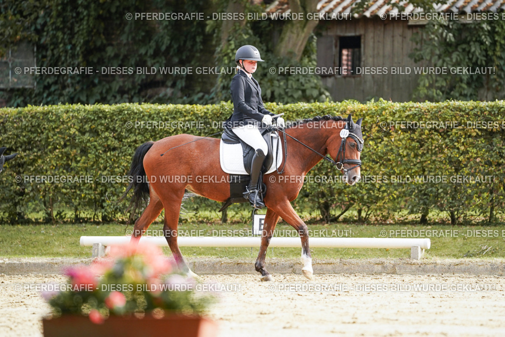 DSC04687 | Pferdegrafie