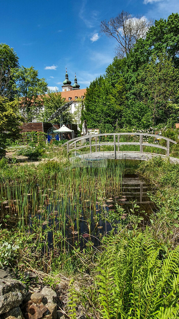 Naturkundegarten der Basilika im Frühling | Impressionen rund um Hochfranken - Frankenwald - Fichtelgebirge - Realisiert mit Pictrs.com