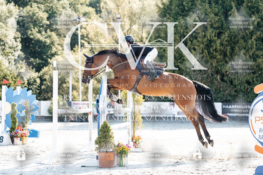 CK901720 | Turnierfotografie Pferdefotografie Trier Rheinland-Pfalz Pferdesport Reitsport Tierfotografie Sportfotografie Pferdevideo Pferdevideografie Equestrianvideography equestrianphotography  - Realisiert mit Pictrs.com