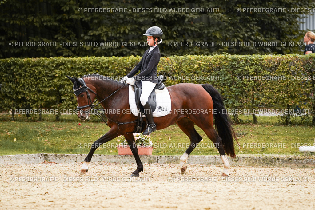 DSC09655 | Pferdegrafie