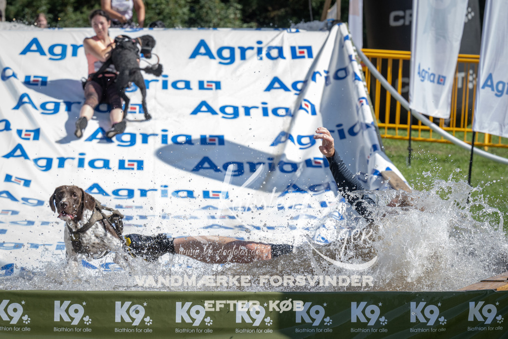 1135_ZZ92824 | kk-dogfotos