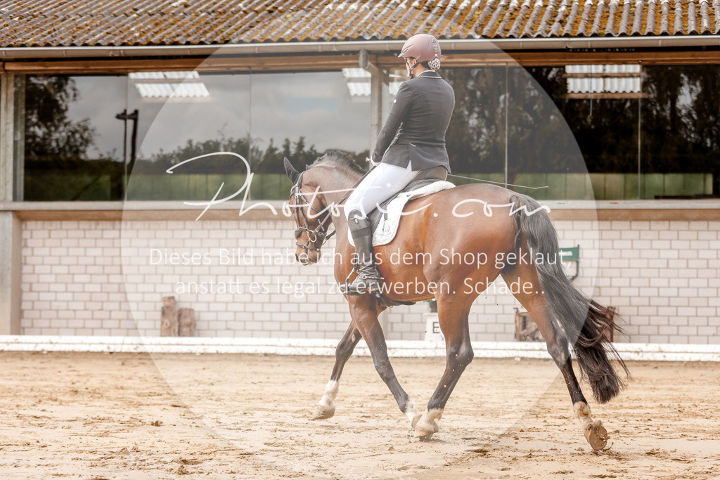 3I6A6930 | Stimmungsvolle Portraits und Reitsportfotografie im Ruhrgebiet und im Münsterland.

Pferdefotografie, Hundefotografie, Tierfotografie, Reportagen, Portraits von Tier und Mensch, Turnierfotografie in Bochum, Recklinghausen, Marl, Haltern am See, Dülmen.. - Realisiert mit Pictrs.com