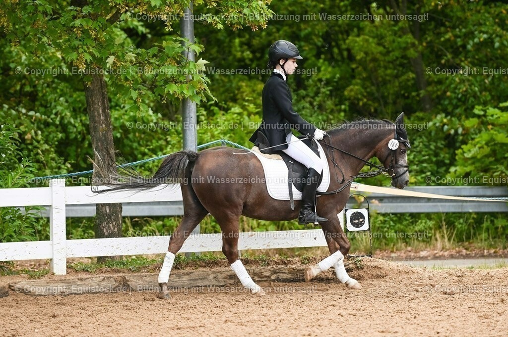20230716_10-2_Reiter-WB Schritt - Trab - Galopp_0067 | equistock