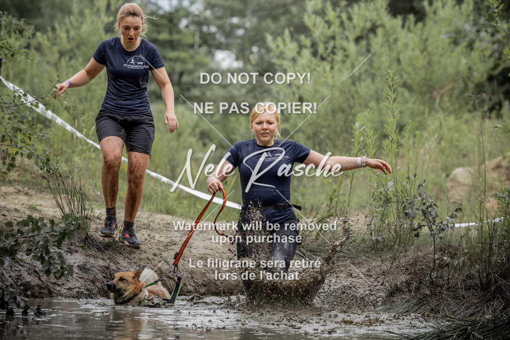 nelerasche_1530-Ende_118 | nelerasche